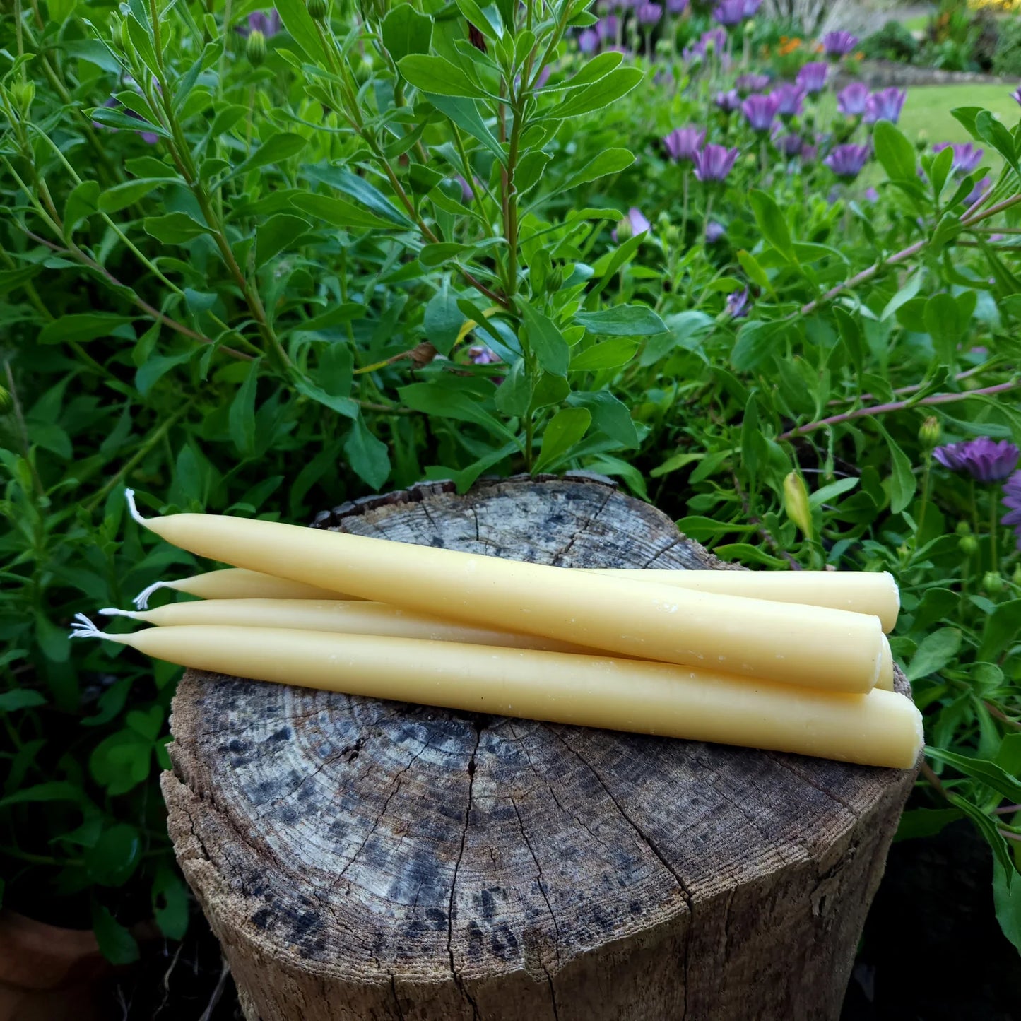 Beeswax 9hr Taper candle - 25cm