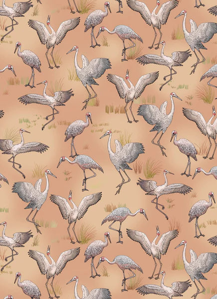 Flora and Fauna by Eloise Short - A Wrapping Paper Book
