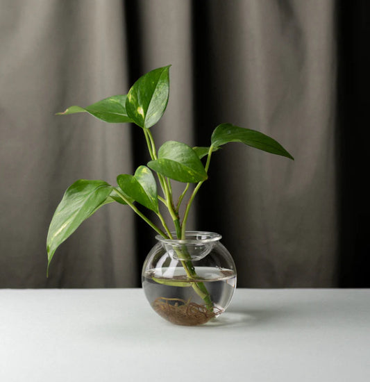 Studio Milligram Bulb Planter - Set of Two