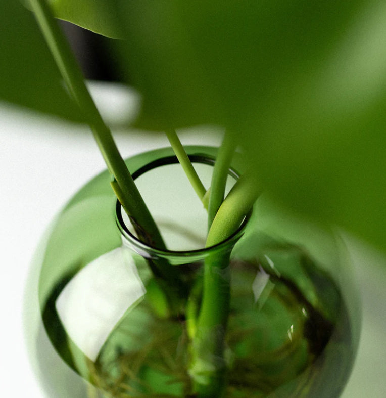 Studio Milligram Bulb Planter