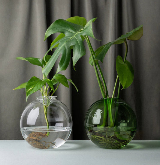 Studio Milligram Bulb Planter