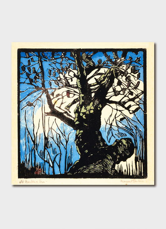 Greeting Card The Banksia Tree