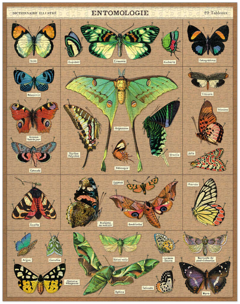 Cavallini & Co 'Entomology' 1000 Piece Puzzle