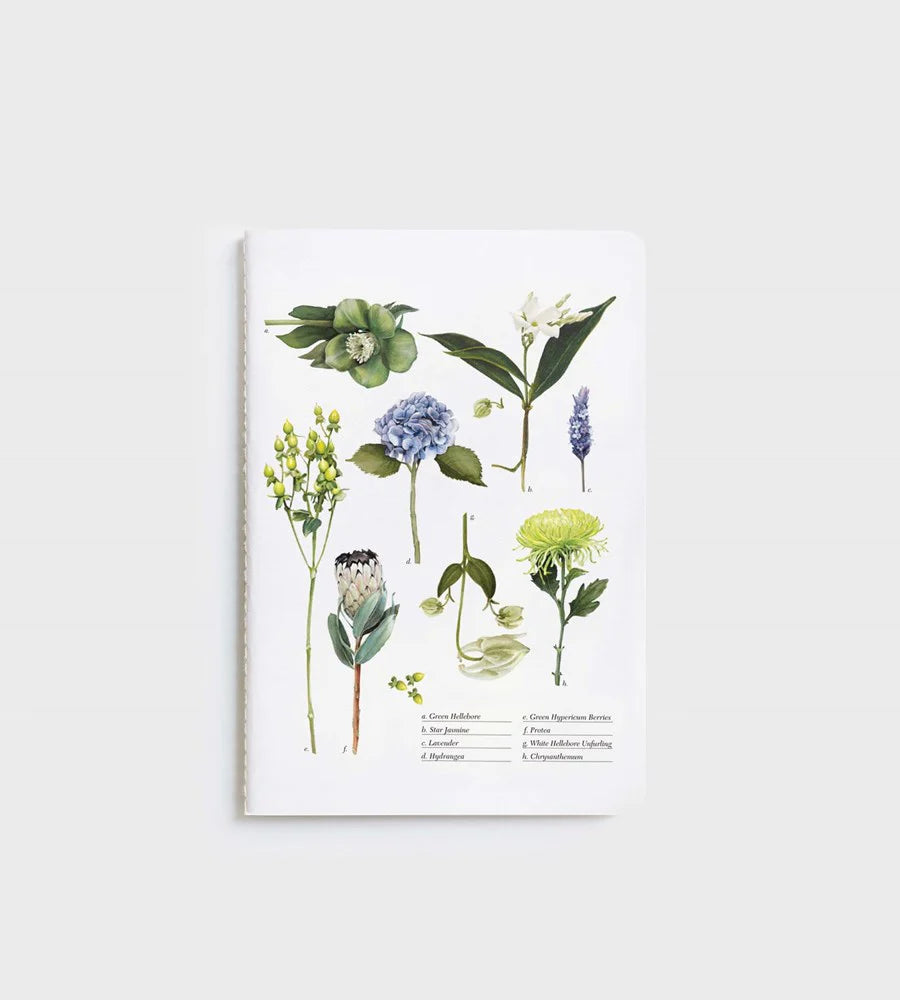 Father Rabbit Notebook - Botanical Chart