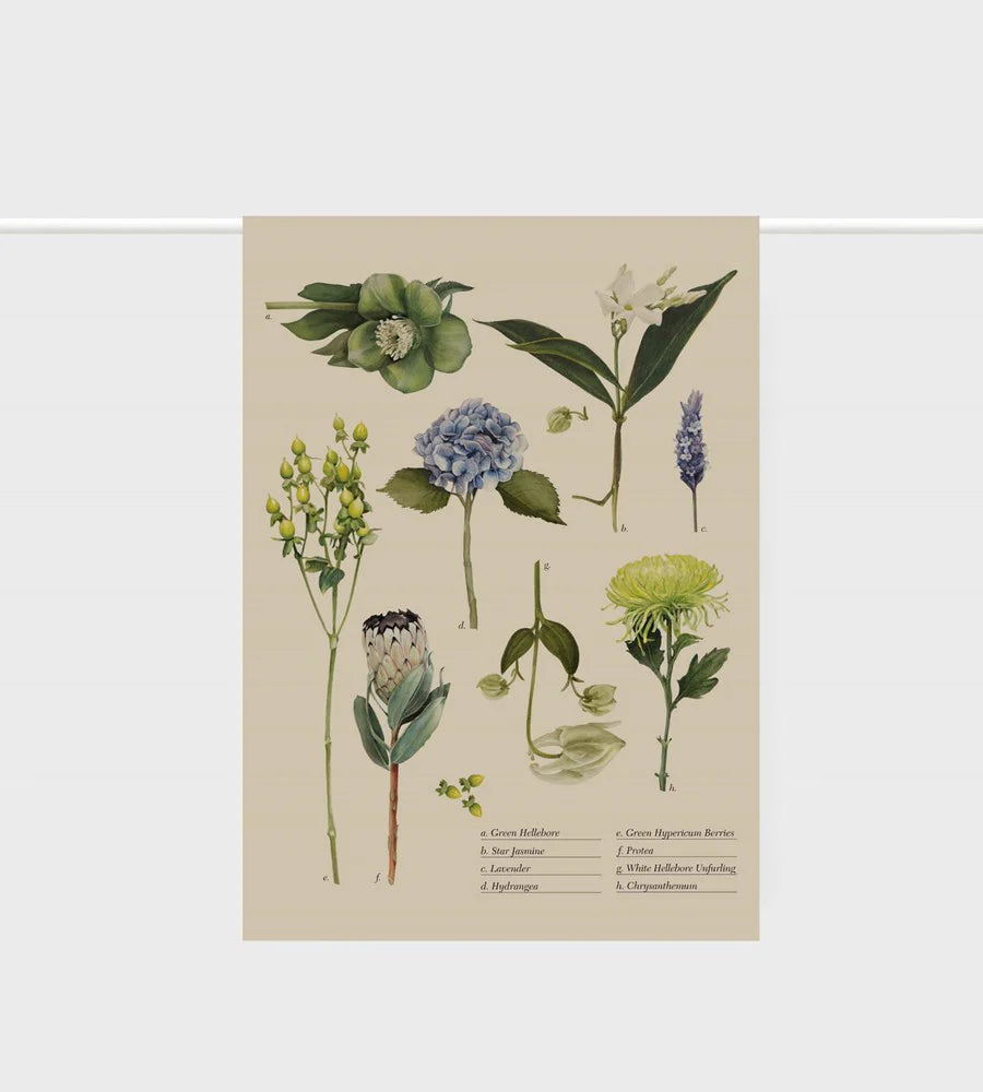 Father Rabbit Botanical Collection Tea Towel