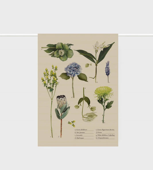 Father Rabbit Botanical Collection Tea Towel