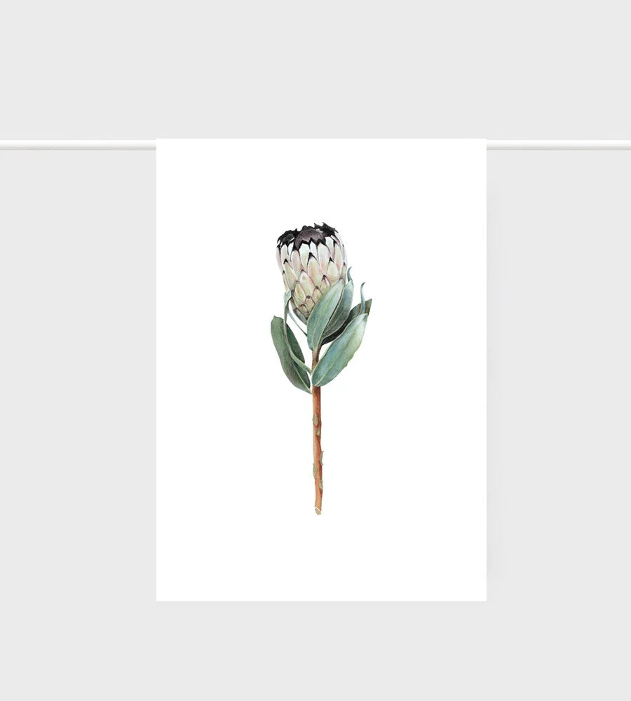 Father Rabbit Protea Tea Towel