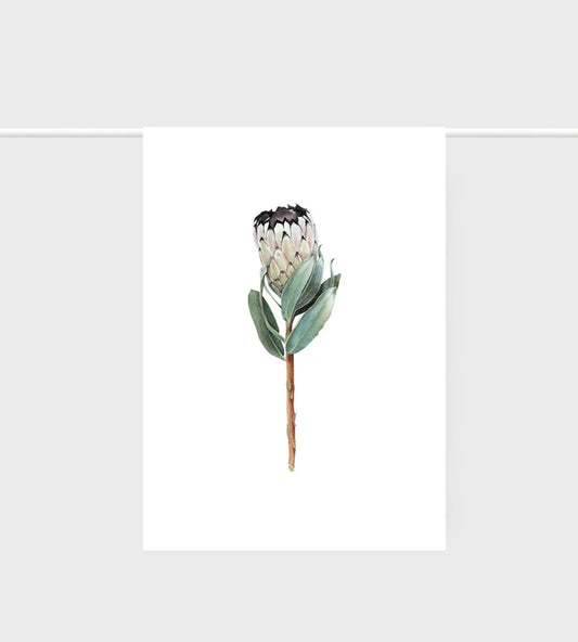 Father Rabbit Protea Tea Towel