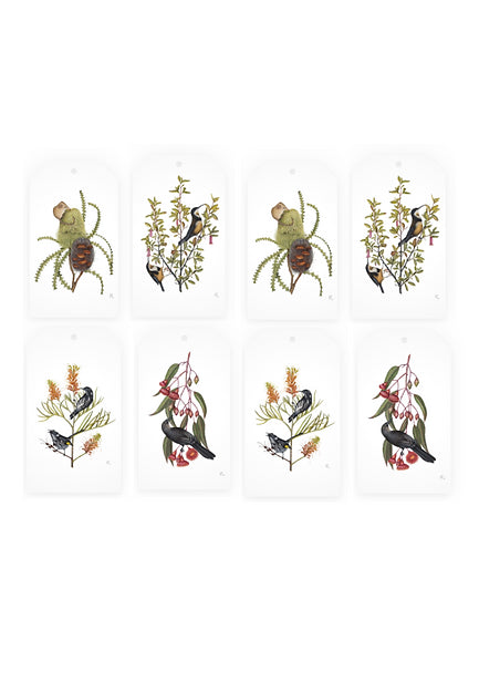 The Biophilia Project Christmas Tag Pack - Plants and their Pollinators