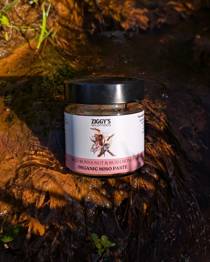 Organic Wild Bunya Nut and Australian Honey Miso 200g