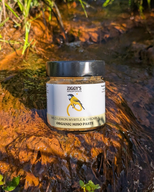 Organic Wild Lemon Myrtle and Chickpea Miso 200g