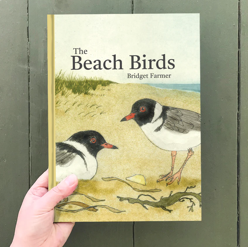 Bridget Farmer The Beach Birds Book