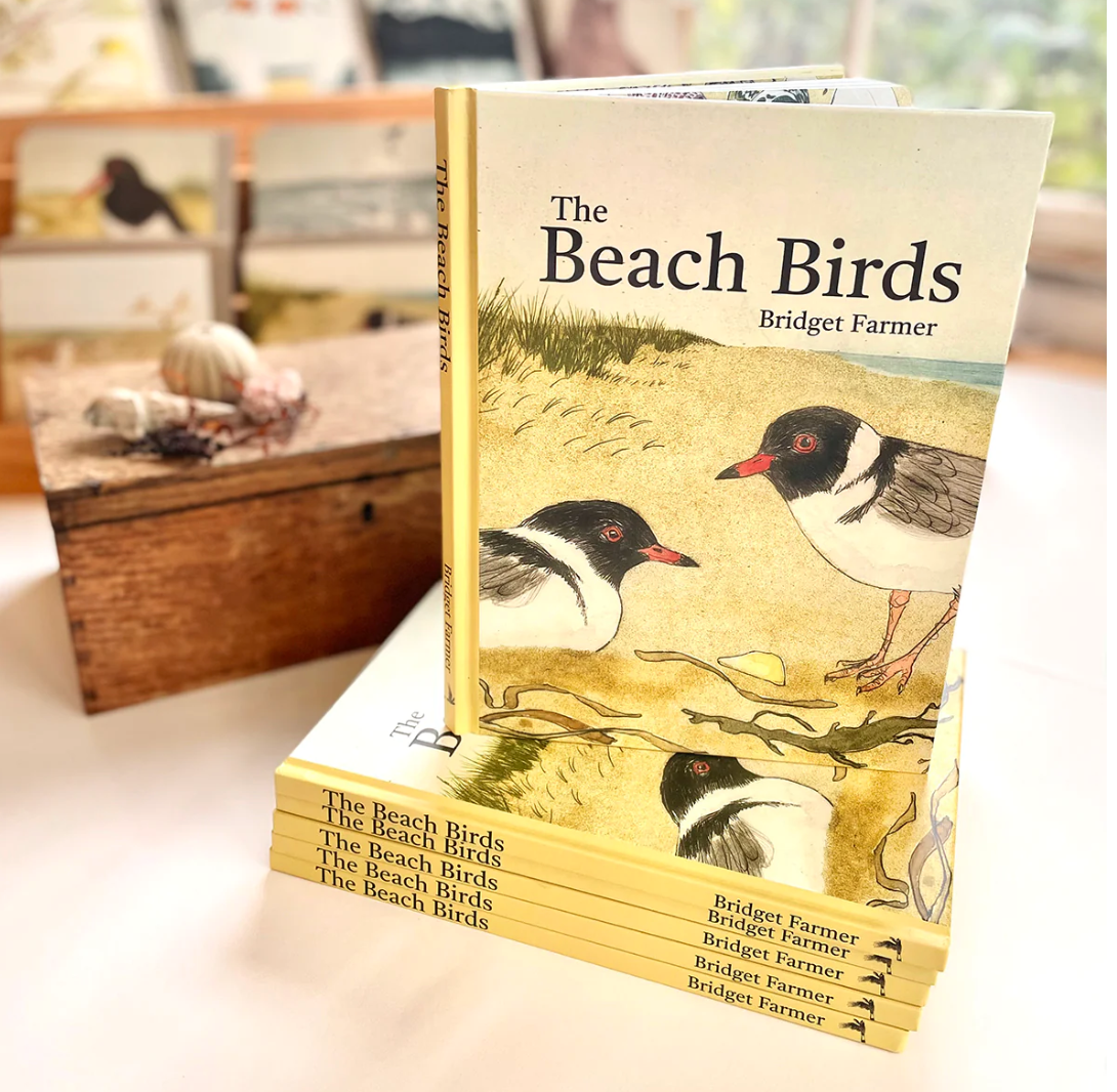 Bridget Farmer The Beach Birds Book