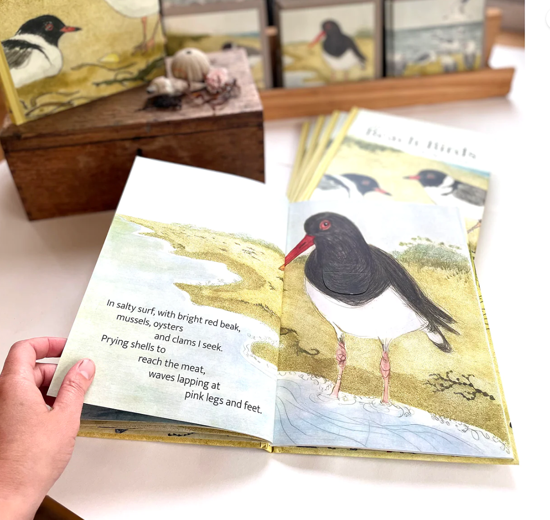 Bridget Farmer The Beach Birds Book