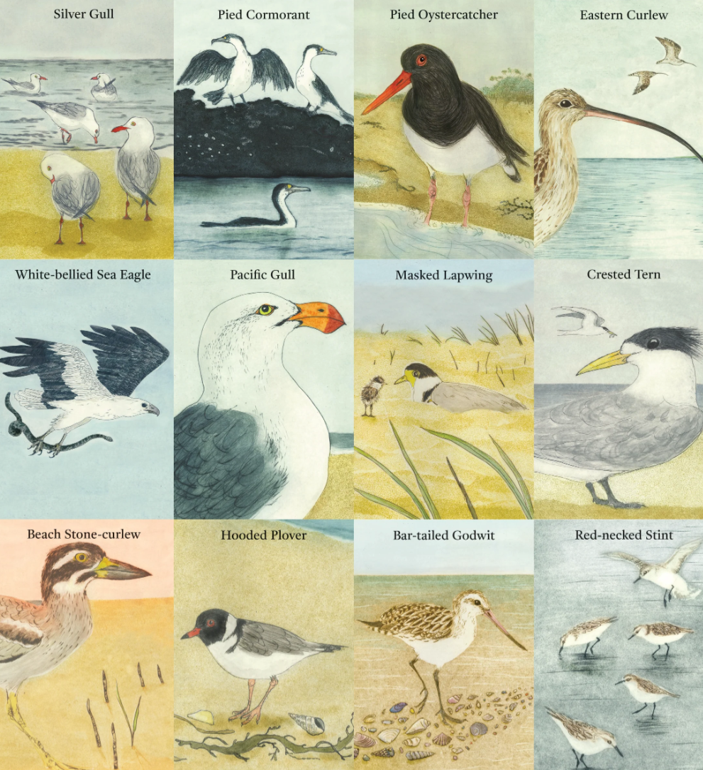 Bridget Farmer Beach Birds Card Game