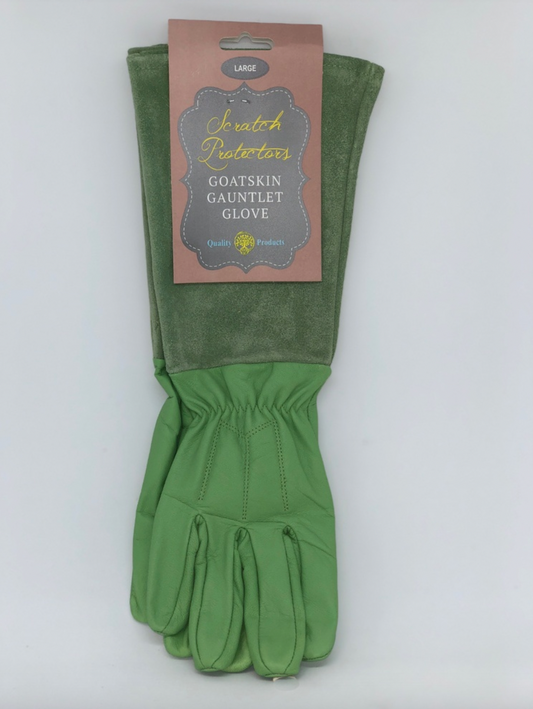 Gaotskin Gauntlet Glove - Green