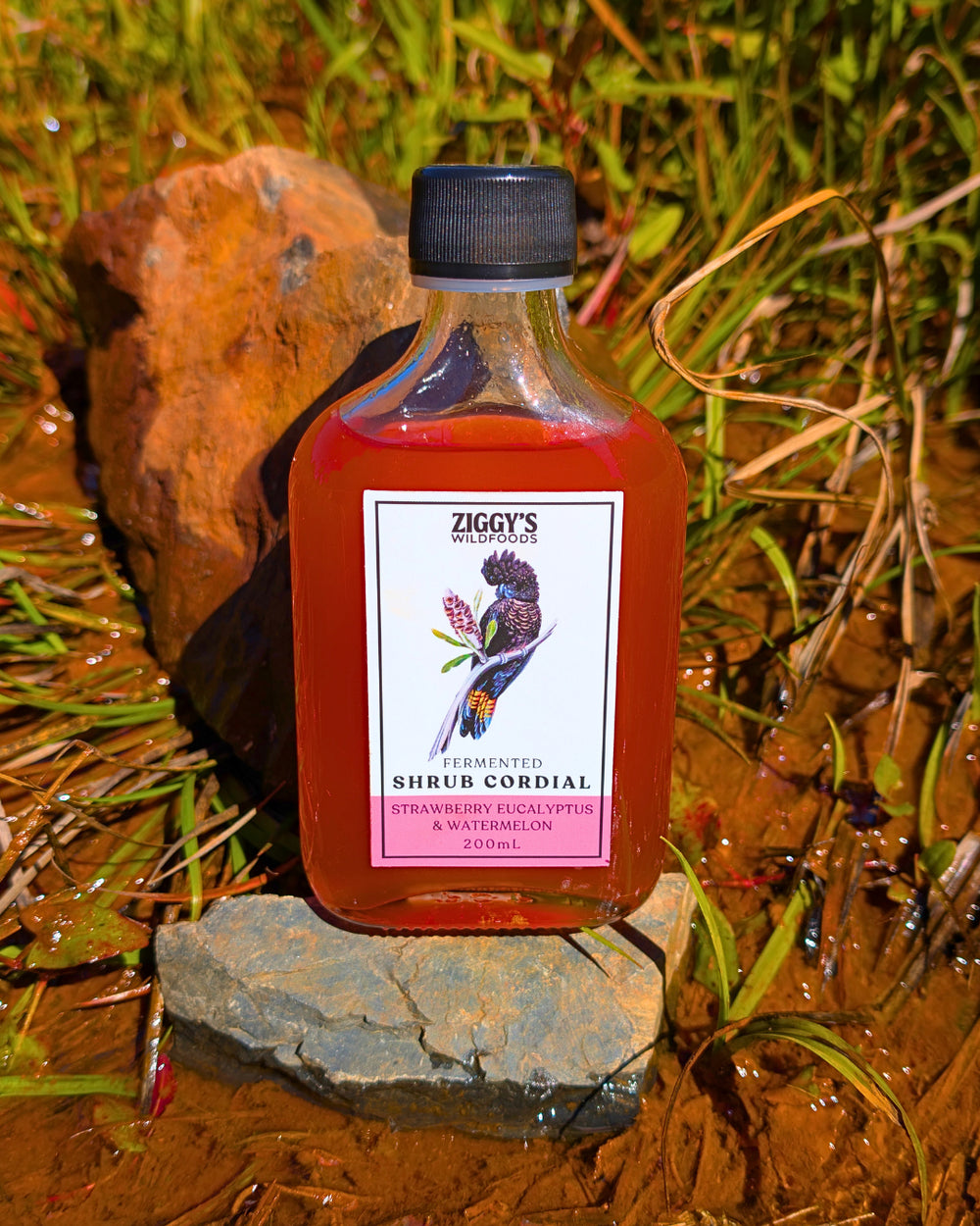Strawberry Eucalyptus and Watermelon Cocktail Shrub 200ml