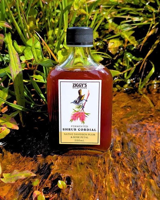 Wild Davidson Plum and Rose Petal Cocktail Shrub 200ml