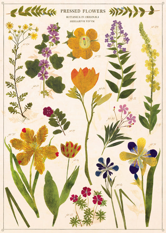 Cavallini & Co 'Pressed Flowers' 1000 Piece Vintage Puzzle