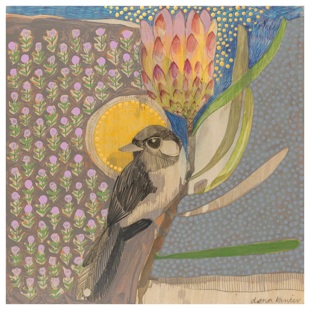 Dana Kinter "Willie Wagtail and Protea" Mini Print