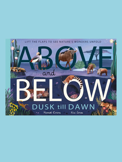 Children's Book - Above and Below: Dusk till Dawn by Harriet Evans and Nic jones
