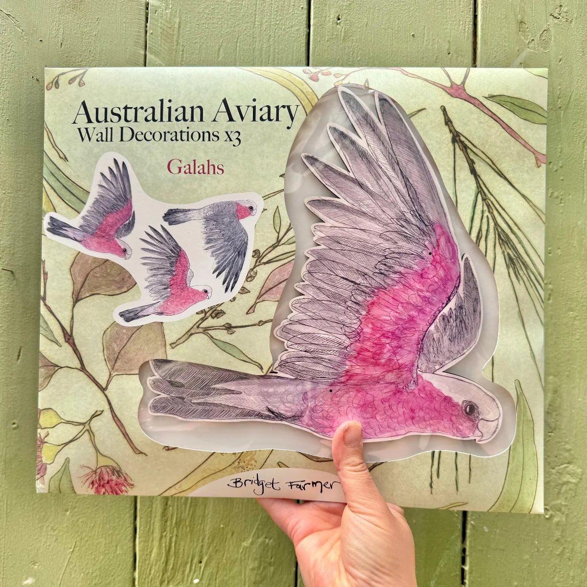 Bridget Farmer Australian Avery Wall Decorations - Galah