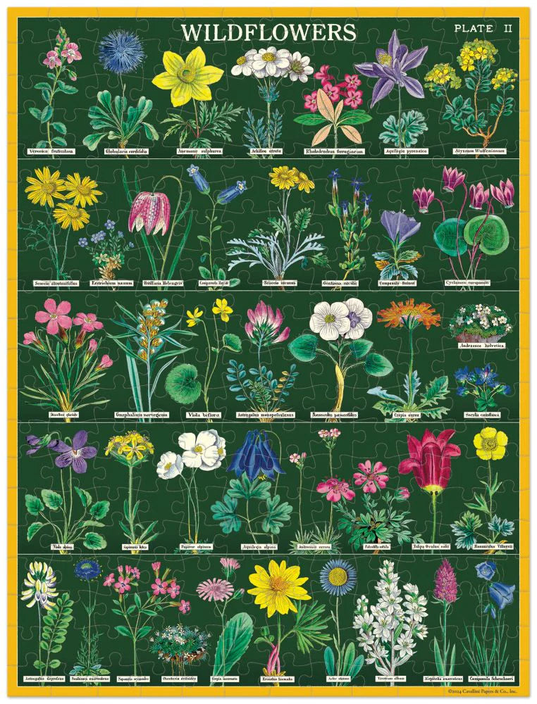 Cavallini & Co Mini 'Vintage Wildflowers 2' 240 Piece Puzzle