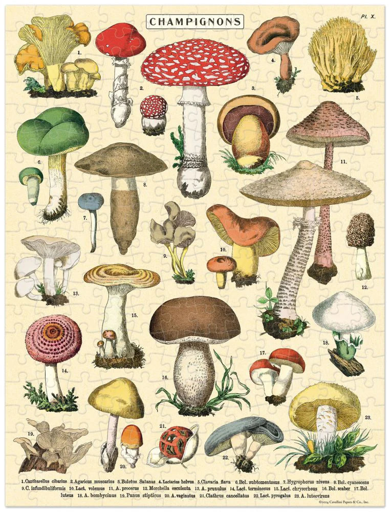 Cavallini & Co Mini 'Mushroom' 240 Piece Puzzle