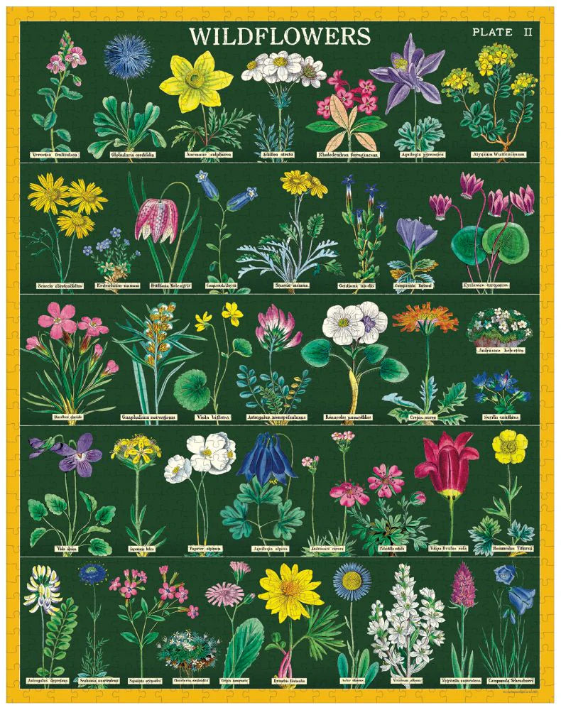Cavallini & Co 'Vintage Wildflowers 2' 1000 Piece Puzzle