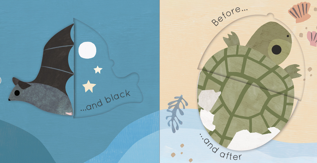 Big and Little Board Book