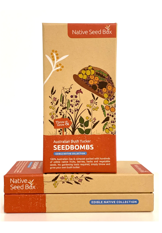 Native Seed Box - Edible Natives Seedbombs