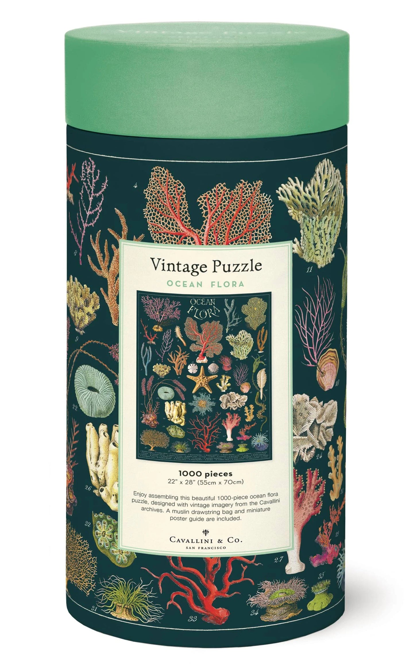Cavallini & Co Ocean Flora 1000 Piece Vintage Puzzle