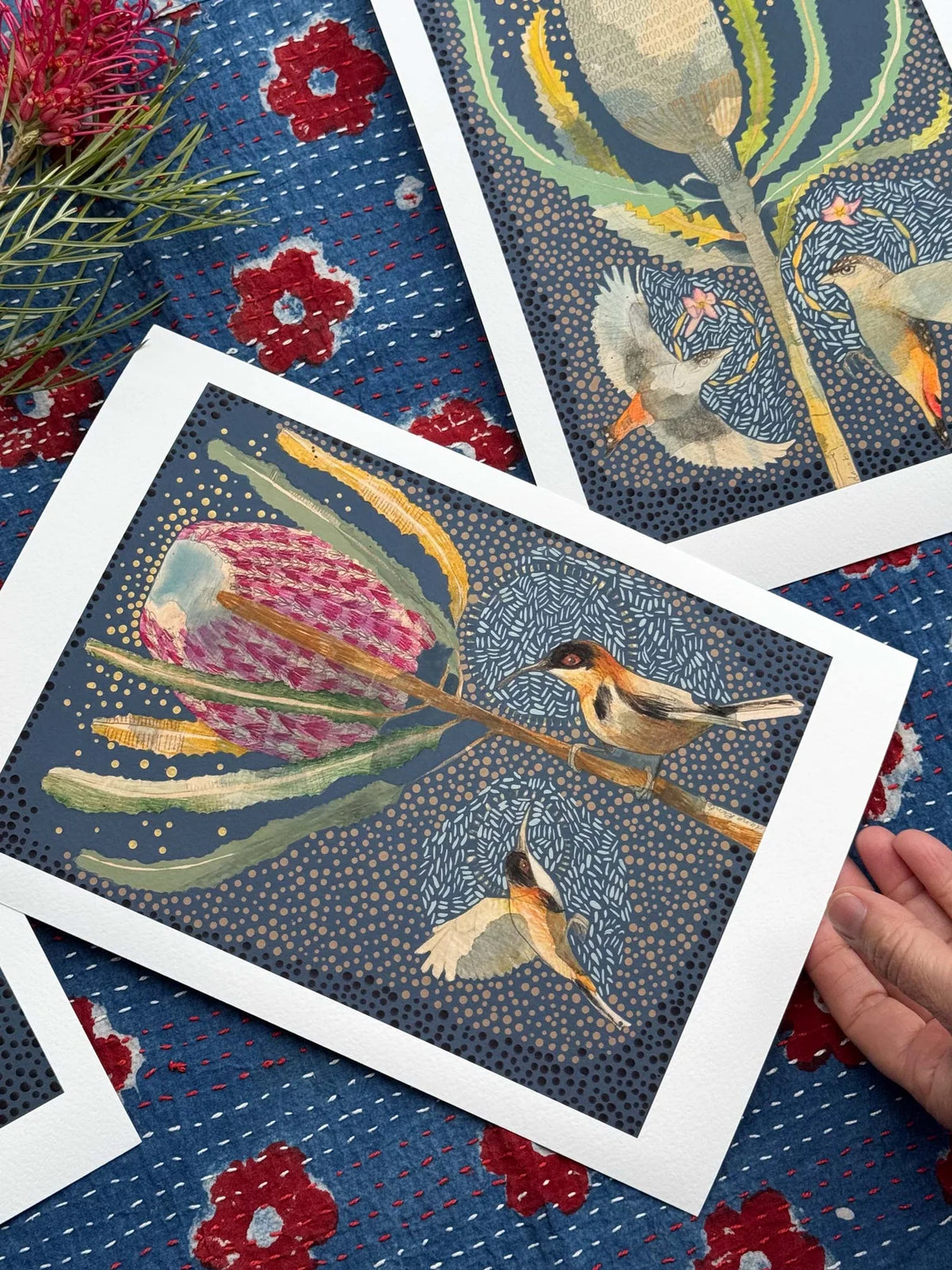 Dana Kinter "Eastern Spinebill and Banksia Menziesii" Print