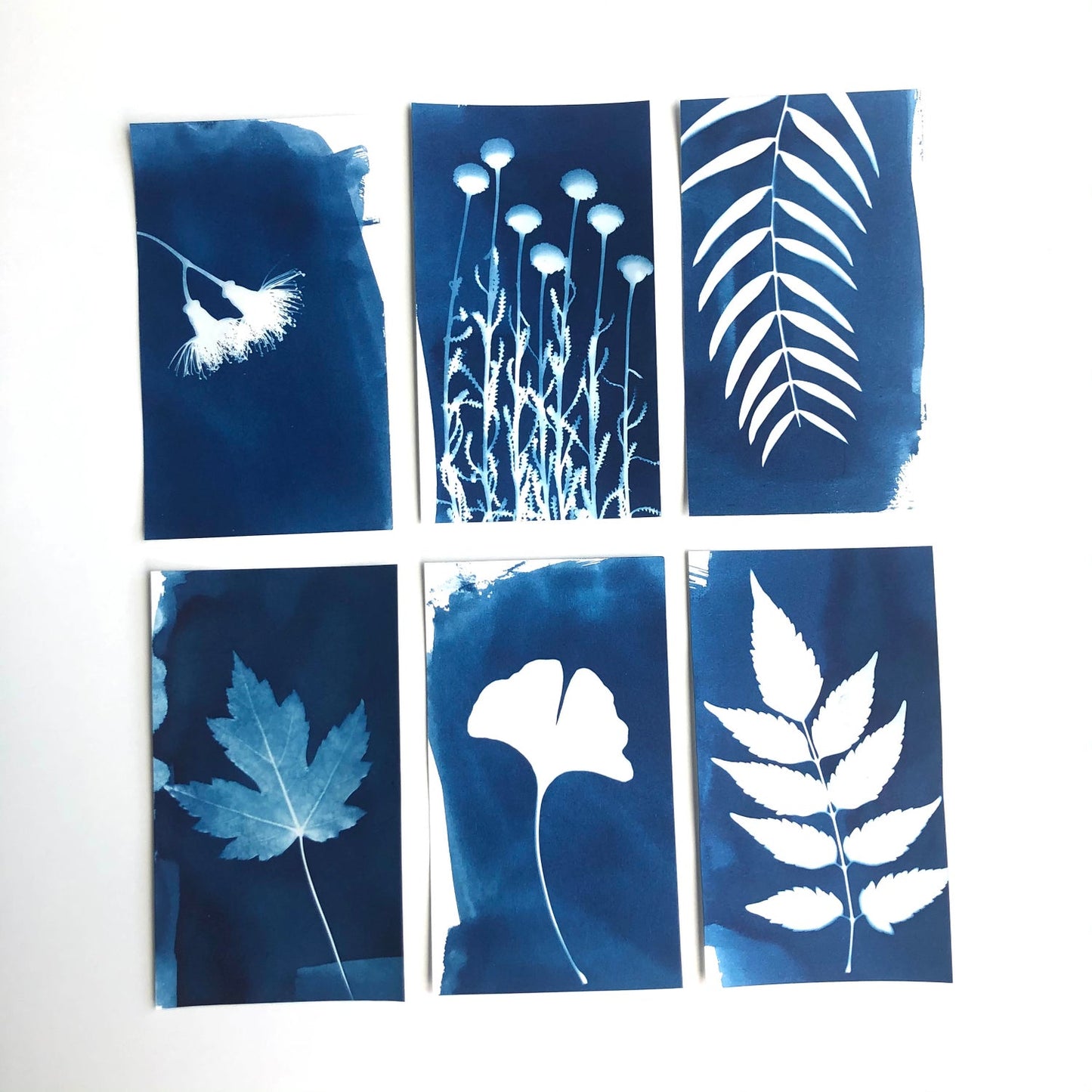 My Little Print Studio DIY Sun Printing Paper