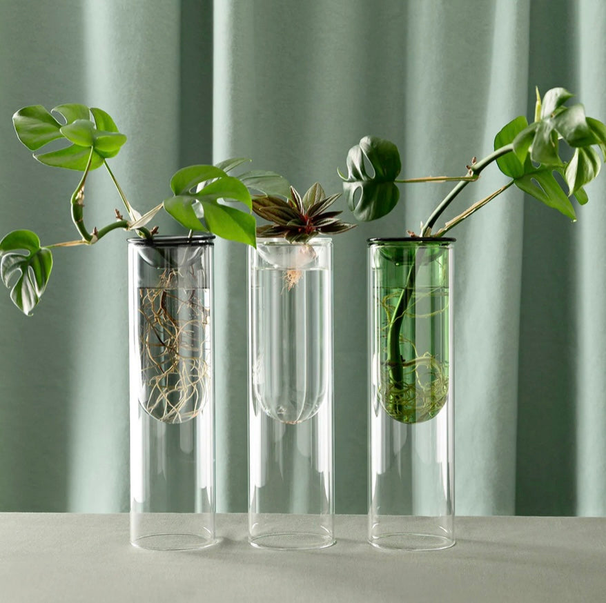 Studio Milligram Propagation Vase