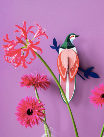 Studio Roof Paradise Bird Rani