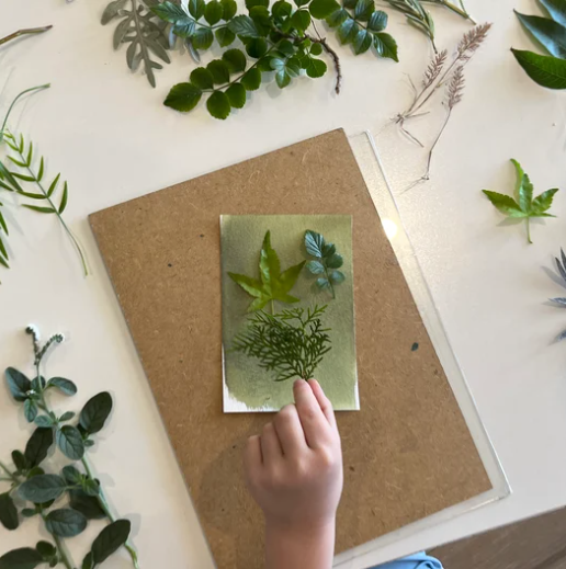 My Little Print Studio DIY Sun Printing Paper