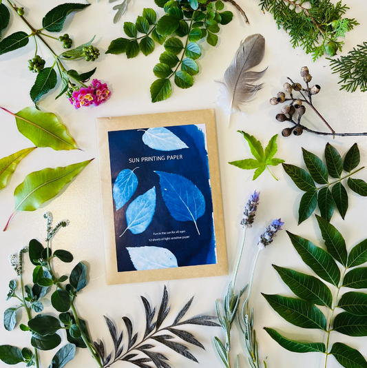 My Little Print Studio DIY Sun Printing Paper