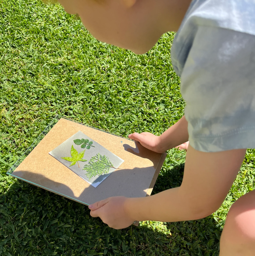 My Little Print Studio DIY Sun Printing Paper