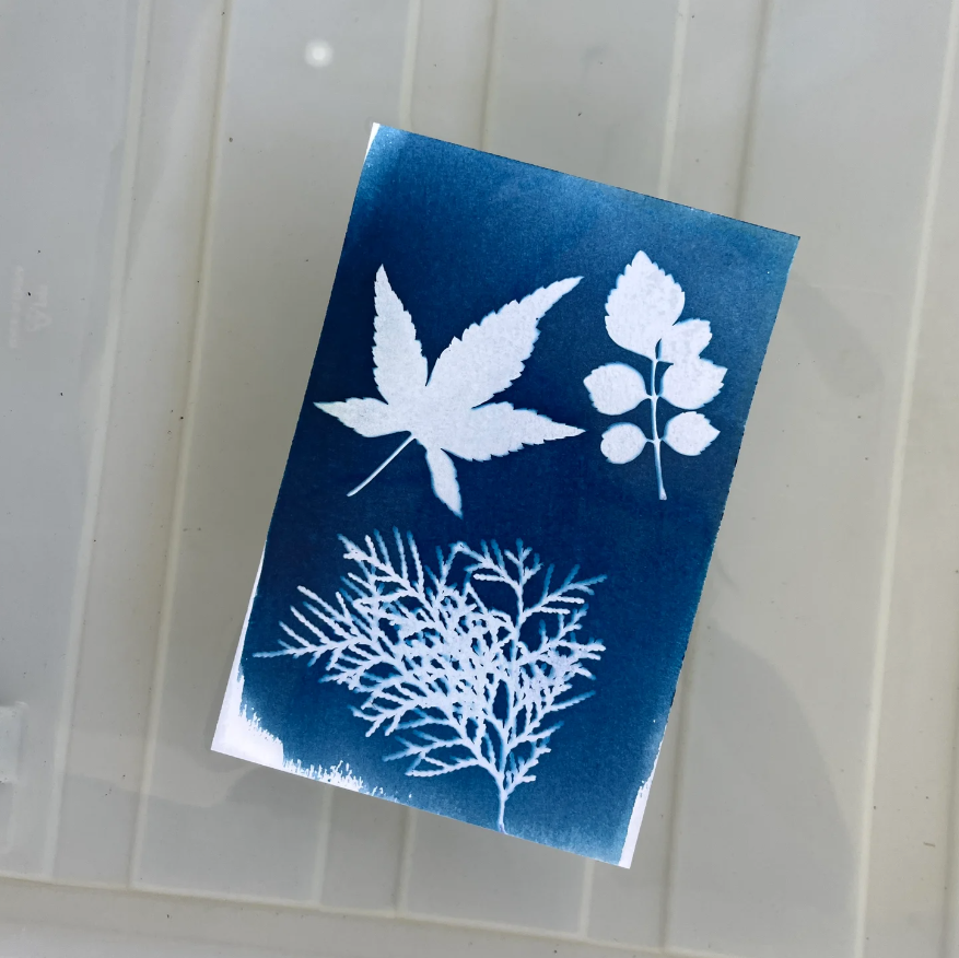 My Little Print Studio DIY Sun Printing Paper