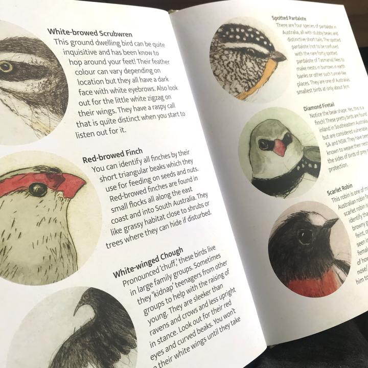 Bridget Farmer The Bush Birds Book