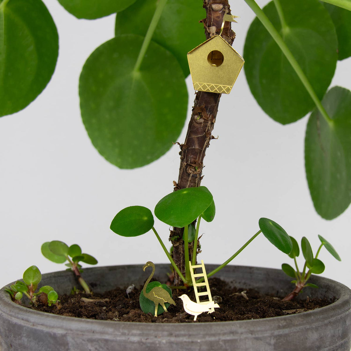 Tiny Birdhouse For Your Plants