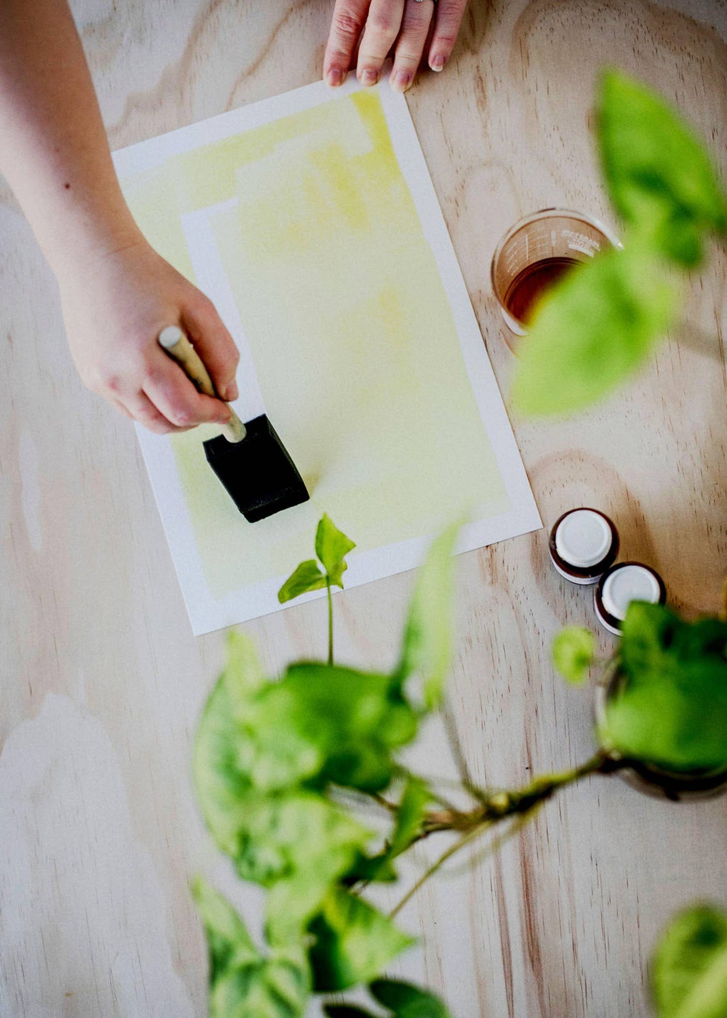 Cyanotype Printing Kit