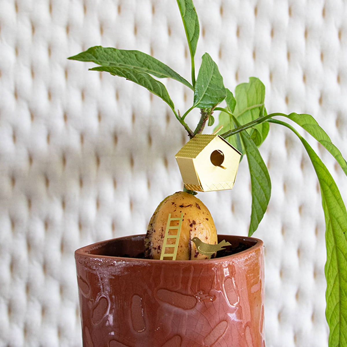 Tiny Birdhouse For Your Plants
