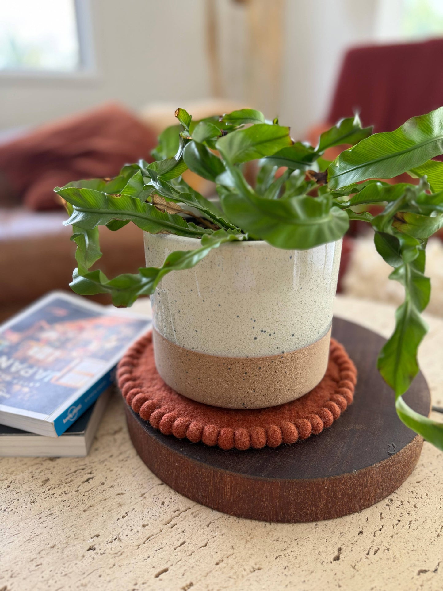 Felt Trivet Set - Spiced Cocoa