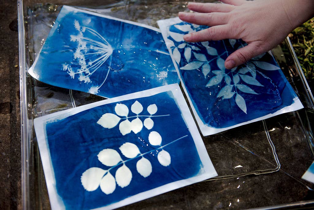 Cyanotype Printing Kit