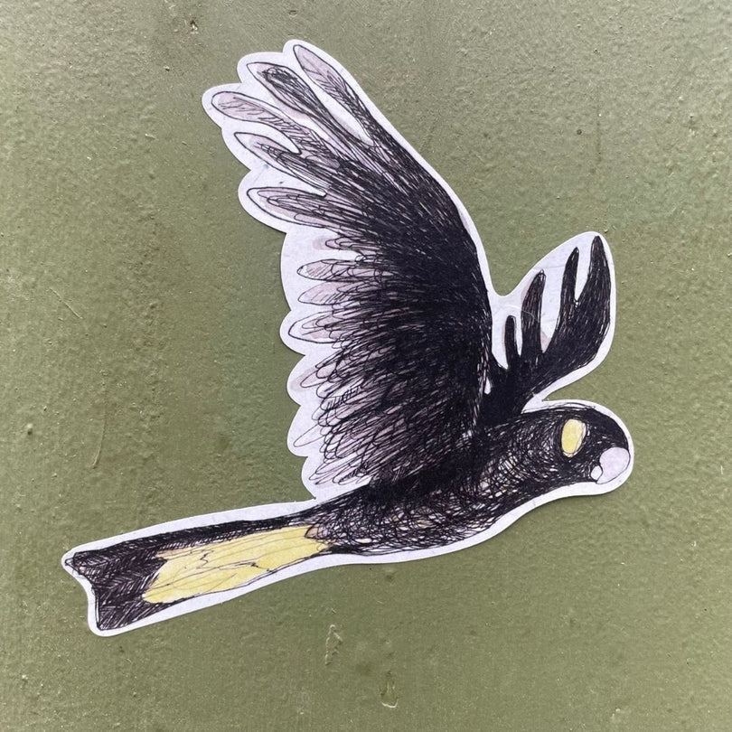Bridget Farmer Yellow-tailed Black Cockatoo Sticker 1