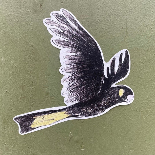 Bridget Farmer Yellow-tailed Black Cockatoo Sticker 1