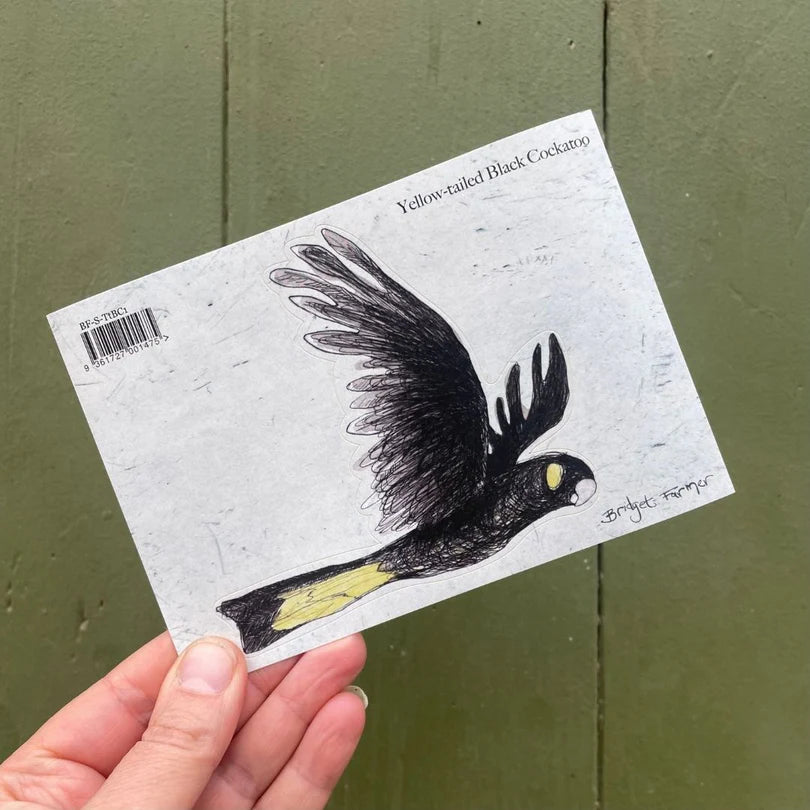 Bridget Farmer Yellow-tailed Black Cockatoo Sticker 1