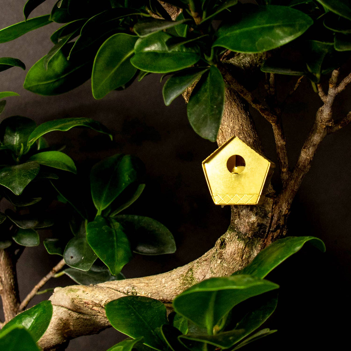 Tiny Birdhouse For Your Plants